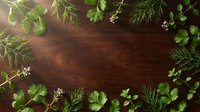 Fresh green herbs frame dark wooden background with copy space for culinary design and cooking projects.