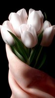 Delicate white tulips wrapped in soft pink fabric against dark background, creating romantic mood with gentle lighting and elegant composition.