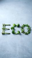 Word ECO spelled with fresh green vegetables: asparagus, broccoli, and microgreens on a light concrete surface, promoting healthy organic lifestyle.