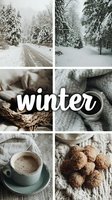 Winter mood board featuring snowy forest roads, cozy knitted textures, hot chocolate, and homemade cookies for seasonal social media content.