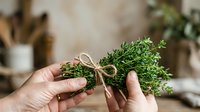 Fresh green dill herb bundle tied with twine, held in hands against blurred kitchen background. Culinary ingredient for cooking and food preparation.