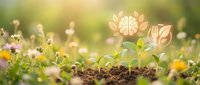 Growing brain symbol in soil among flowers, representing mental growth, learning development, and cognitive improvement in nature. Use for education, wellness, psychology, and personal development concepts.