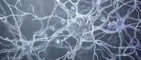 Glowing neural network pathways with interconnected nodes and synapses, representing brain activity, artificial intelligence, and digital connectivity for technology and science concepts.