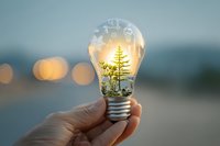 Small tree growing inside light bulb held by hand against blurred bokeh background, symbolizing green energy, sustainability, and environmental innovation.