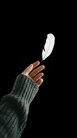 Hand holding white feather isolated on transparent background, ready for t-shirt design, clipart, stickers, sublimation and print-on-demand projects.