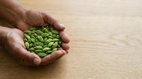 Male hands holding fresh green pumpkin seeds on wooden surface for cooking, nutrition, and healthy food concepts.