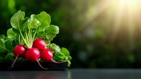 Fresh red radishes with bright green leaves on dark background with sunlight effect, raw organic vegetables for healthy eating and cooking.