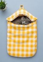 Gray tabby cat resting in yellow and white checkered hanging fabric pouch against blue wall with potted succulent plant nearby.
