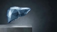 Low poly geometric liver organ model floating above surface with dramatic lighting for medical education and healthcare presentations.