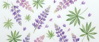 Watercolor lavender flowers and green leaves seamless pattern on white background. Botanical floral design for fabric, wallpaper and decorative projects.