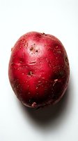 Fresh red beet with earthy soil texture on white background, suitable for organic food, nutrition, cooking, and healthy eating content.