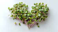Fresh microgreens arranged in heart shape on white background, showcasing vibrant green leaves with purple stems for healthy cooking and food styling.
