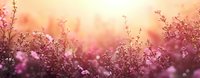 Dreamy wildflower meadow at golden hour with soft pink and orange sunset light creating magical bokeh effect through delicate blooms and grass stems.