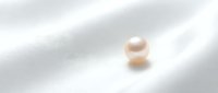 Lustrous pearl resting on soft white fabric, showcasing luxury gemstone elegance for jewelry design and premium product marketing.