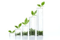 Green sprouts growing in ascending test tubes filled with soil and water, showing progressive plant growth stages against white background. Scientific research concept.