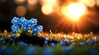 Small blue forget-me-not flowers blooming in spring garden with warm golden sunlight and bokeh background creating peaceful natural scene.