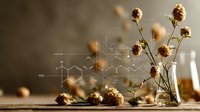 Dried wildflowers in glass vase with scientific molecular structure overlay, creating contrast between natural elements and chemistry formulas on wooden surface.