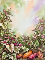Vegetable garden with flowering plants and root crops including carrots and potatoes, watercolor illustration with soft pastel background for gardening and agriculture designs.