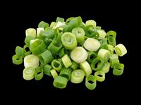 Chopped and sliced green onions isolated on transparent background, ready for culinary design, recipe graphics, food packaging, cooking blogs, restaurant menus, and print-on-demand kitchen products.