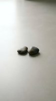 Two smooth gray pebbles resting side by side on a neutral surface in soft natural light, evoking calm, balance, and mindfulness.