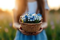 Young woman in blue dress holds wicker basket with fresh spring flowers, white and blue forget-me-nots against sunset bokeh background in meadow.