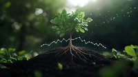 Young tree with exposed root system and growth chart overlay in dark soil, illuminated by soft sunlight filtering through forest environment.