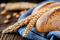 Fresh baked sesame bread roll with golden wheat ears on blue cloth napkin against rustic wooden background, close up view of artisanal bakery product.