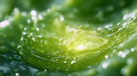 Fresh green leaf with morning dew drops and sunlight creating magical bokeh effect. Natural macro photography showing pure water droplets on plant surface.