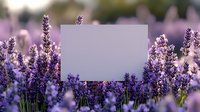 Blank white card mockup in blooming purple lavender field at sunset, soft natural lighting creates romantic atmosphere for wedding stationery presentation.