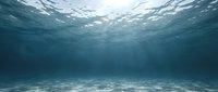 Underwater ocean scene with sunlight rays penetrating through water surface creating peaceful aquatic environment for marine life backgrounds.