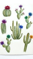 Watercolor cactus collection with colorful blooms isolated on white background for desert botanical design projects and southwestern decor elements.