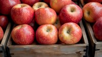 Fresh ripe red apples with yellow blush in rustic wooden crate, close up view. Natural organic fruit harvest with textured skin and farm market appeal.