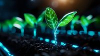 Young green sprout growing from soil with glowing digital wireframe overlay effect, representing agricultural technology and smart farming innovation.