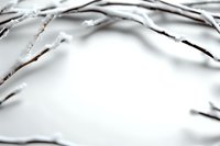Snow covered tree branches against white winter background create minimalist nature composition with soft focus and shallow depth of field.