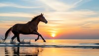 Majestic horse galloping through shallow ocean waves at golden sunset with dramatic sky reflections on wet sand beach creating stunning silhouette scene.