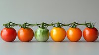 Fresh tomatoes in different colors and ripeness stages arranged in row on light background, showing natural variety and progression from green to red.