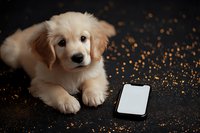 Adorable Golden Retriever puppy lying near smartphone on dark background with golden bokeh lights, creating magical holiday atmosphere for social media content.