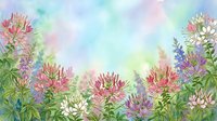 Watercolor floral border with pink and white cleome flowers on pastel rainbow background for spring garden designs and botanical artwork.