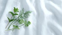 Fresh green herbs parsley and dill sprigs arranged on soft white fabric background for culinary cooking and natural ingredient concepts.