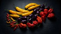 Colorful hot chili peppers variety on dark slate background. Yellow, purple and red spicy peppers for cooking, seasoning and culinary preparations.