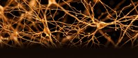 Golden neural network connections with glowing synapses on dark background for medical research, artificial intelligence and brain science concepts.