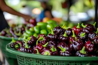 Fresh dark purple eggplants with green stems displayed in plastic basket at farmers market. Organic vegetables ready for healthy cooking and Mediterranean cuisine.