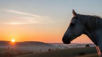 Majestic horse silhouette against golden sunrise over rolling countryside landscape with warm orange sky and peaceful rural meadows for equestrian themes.