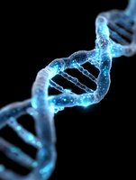 Glowing blue DNA helix structure on black background showing genetic research, biotechnology, and molecular biology concepts for science and medical designs.