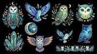 Owl collection with celestial and nature elements, isolated on transparent background. Ready for t-shirt design, clipart, stickers, sublimation, print-on-demand products and digital crafts.