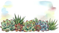 Watercolor succulent border with colorful plants and soft pastel clouds on white background for botanical design projects and natural decoration.