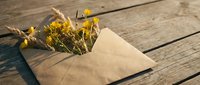 Kraft paper envelope with dried yellow wildflowers and wheat stems on rustic wooden planks. Natural eco-friendly stationery concept for organic branding.