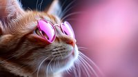 Ginger cat wearing pink sunglasses gazing upward against soft pink background, close-up portrait showing whiskers and reflective lens detail for pet fashion and humor concepts.