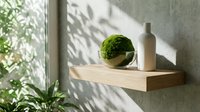 Wooden shelf with moss sphere and ceramic bottle against gray wall with natural sunlight and plant shadows, minimalist home decor.