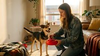 Young woman in cozy home interior feeding her small mixed breed dog from red bowl near sunny window with plants creating warm domestic pet care moment.